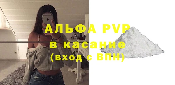 крисы Белокуриха