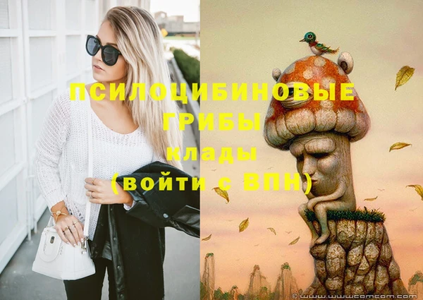 бошки Беломорск